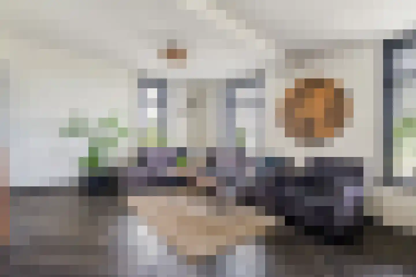Waterstraat 10 Wijhe thumbnail 6