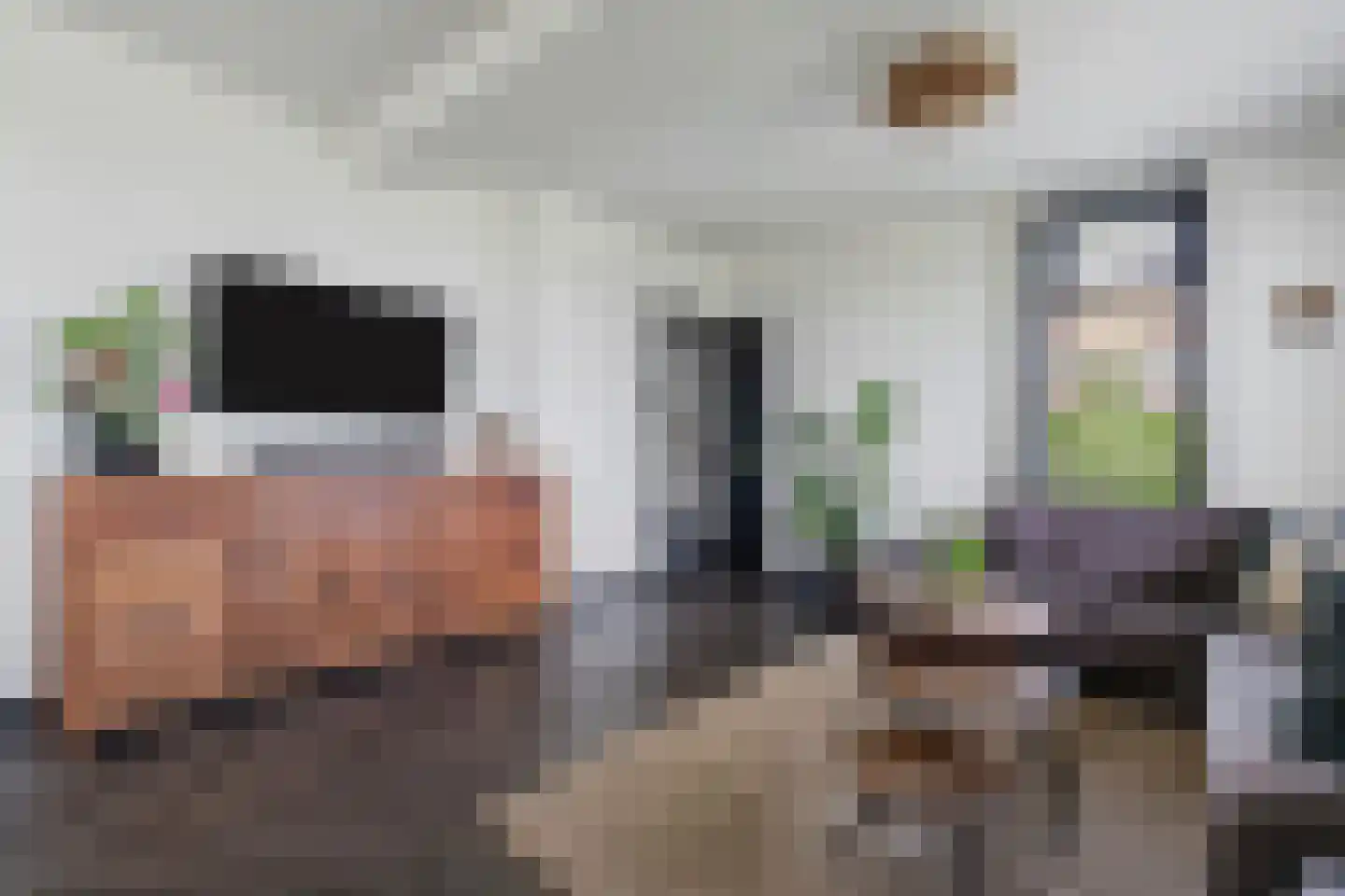 Waterstraat 10 Wijhe thumbnail 6