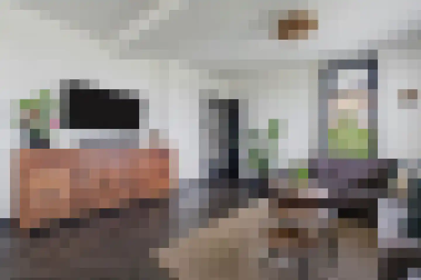 Waterstraat 10 Wijhe thumbnail 7