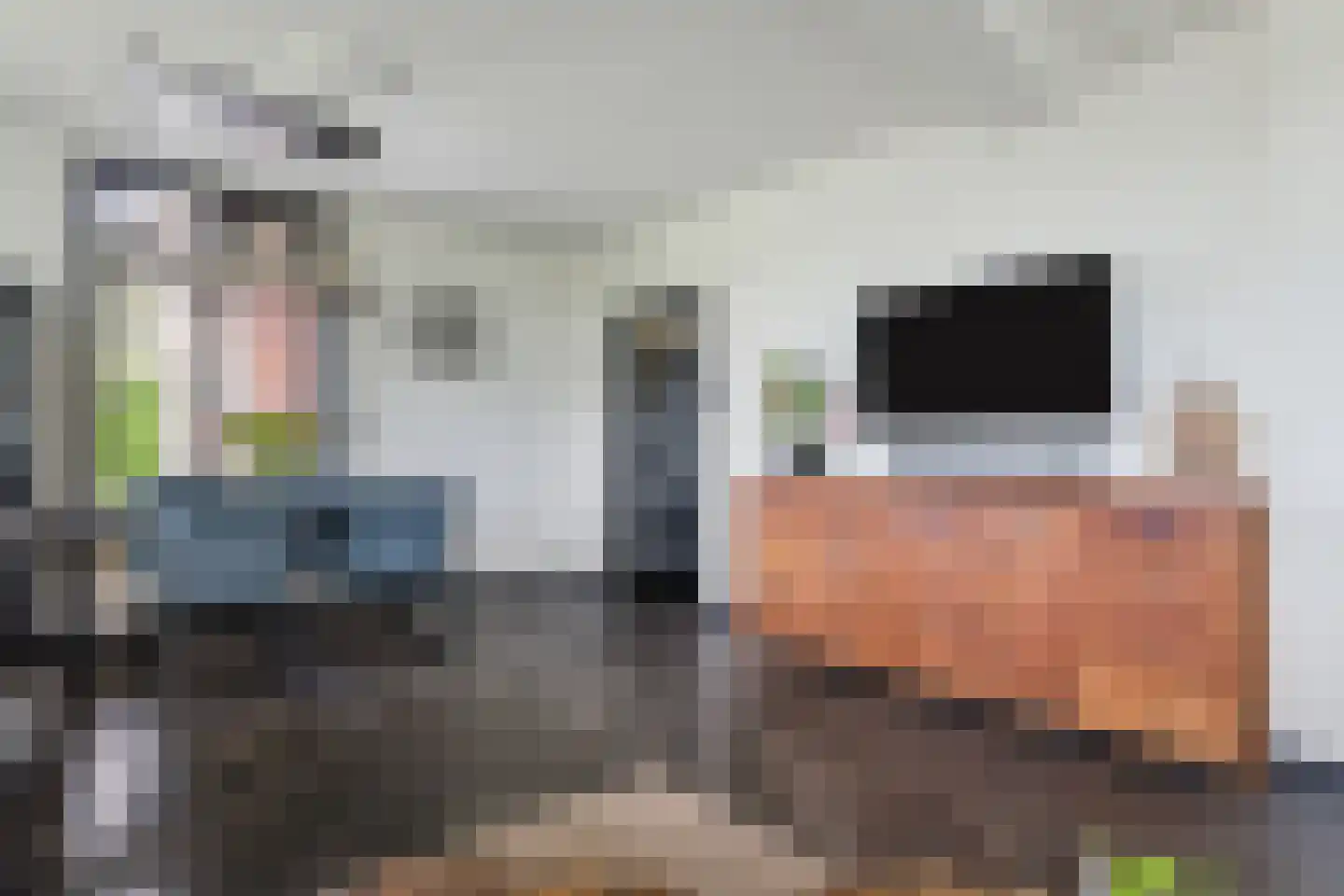 Waterstraat 10 Wijhe thumbnail 9