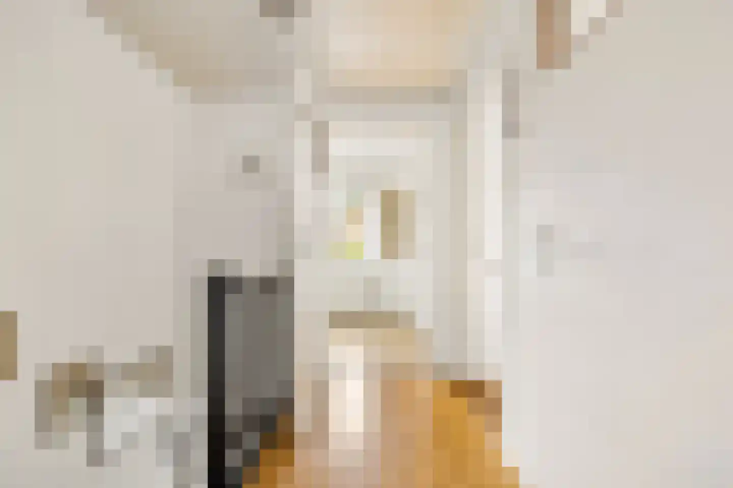 Waterstraat 11 Uden thumbnail 25