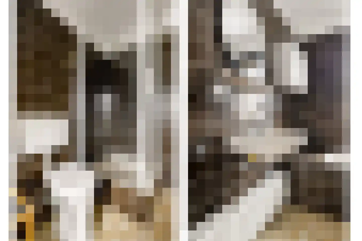 Waterstraat 11 Uden thumbnail 32