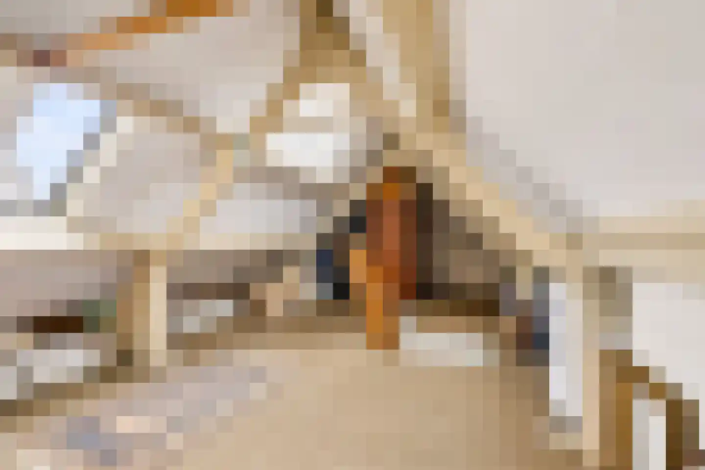 Waterstraat 11 Uden thumbnail 34