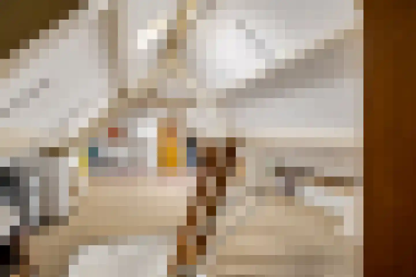 Waterstraat 11 Uden thumbnail 35