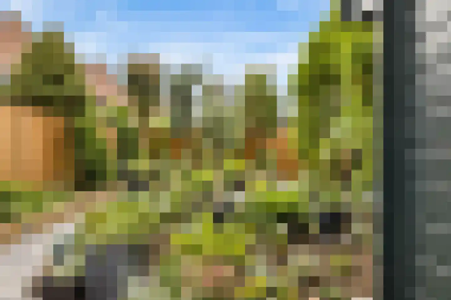 Waterstraat 11 Uden thumbnail 39