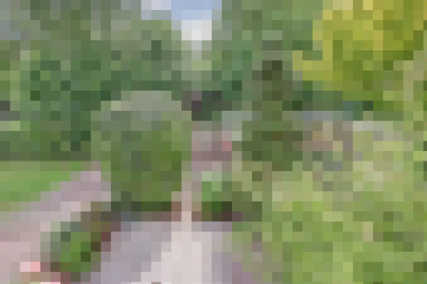 Waterstraat 12 Beek thumbnail 30
