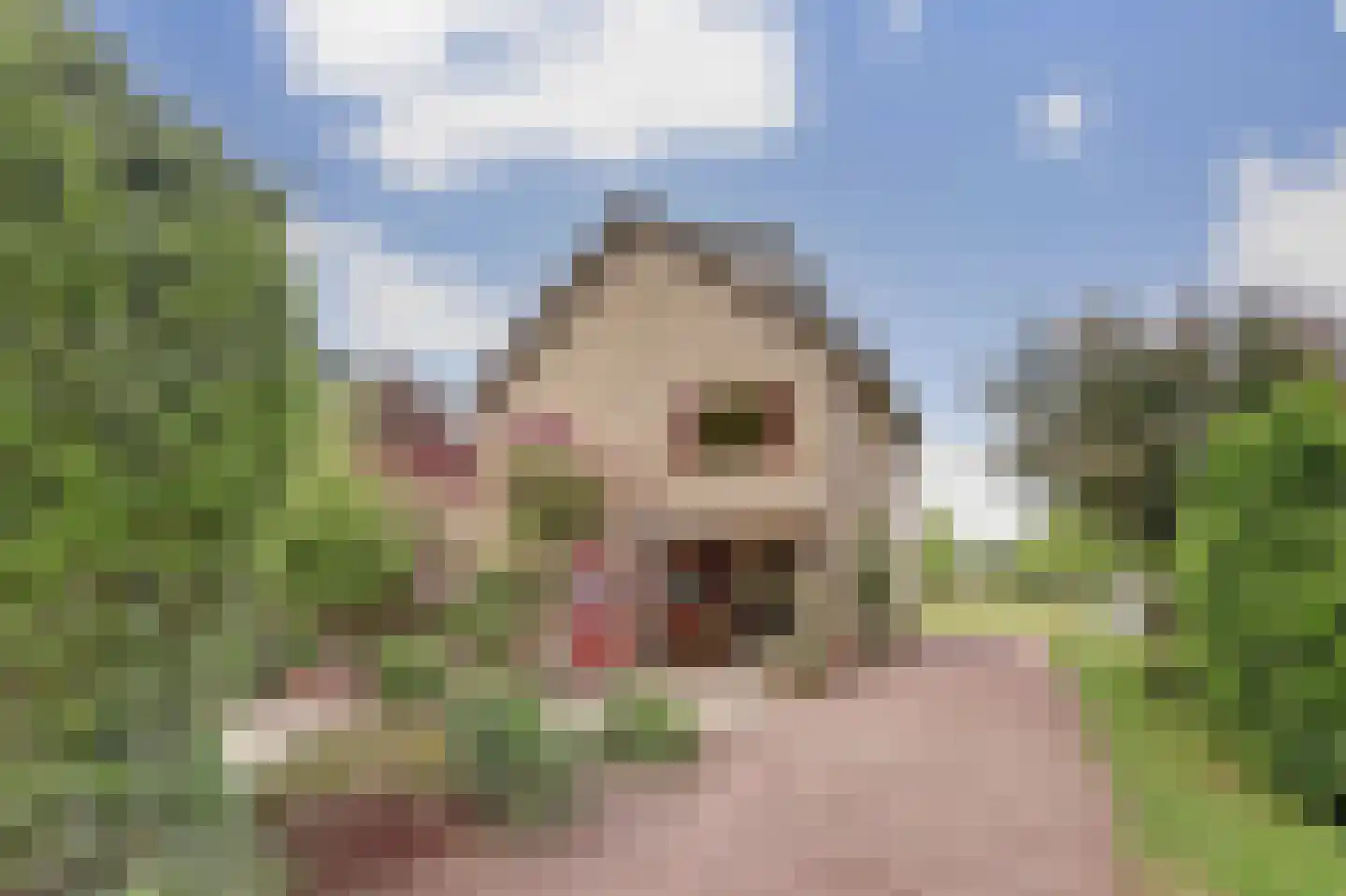 Waterstraat 12 Beek thumbnail 41