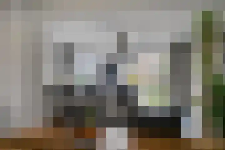Waterstraat 12 Halsteren thumbnail 4