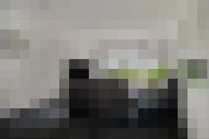 Waterstraat 12 Halsteren thumbnail 9