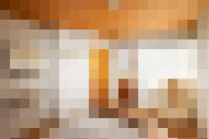 Waterstraat 14 Beek thumbnail 15