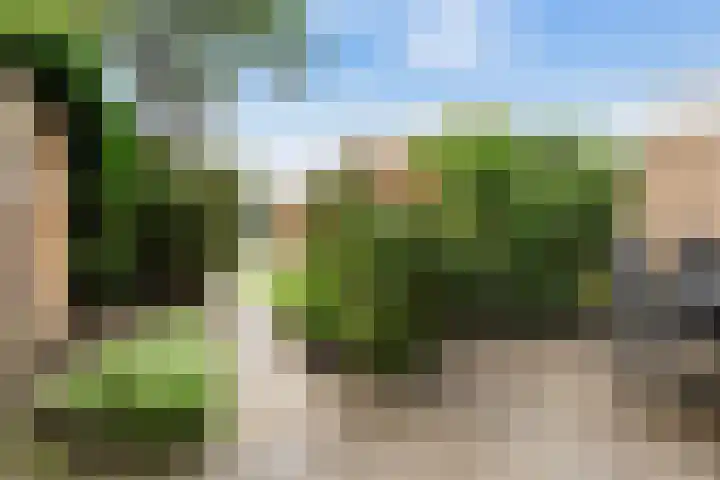 Waterstraat 14 Beek thumbnail 8