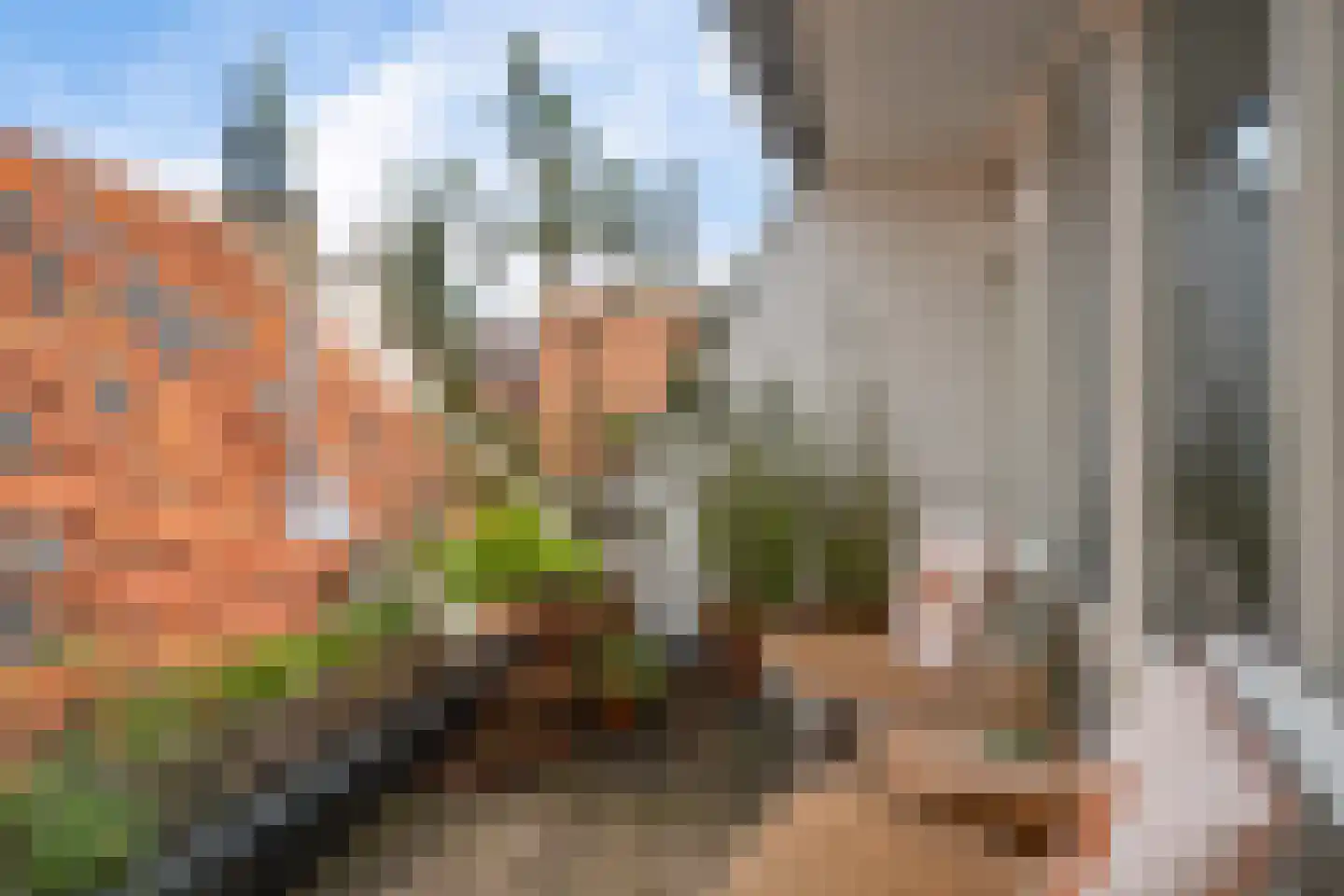 Waterstraat 14 Zutphen thumbnail 33