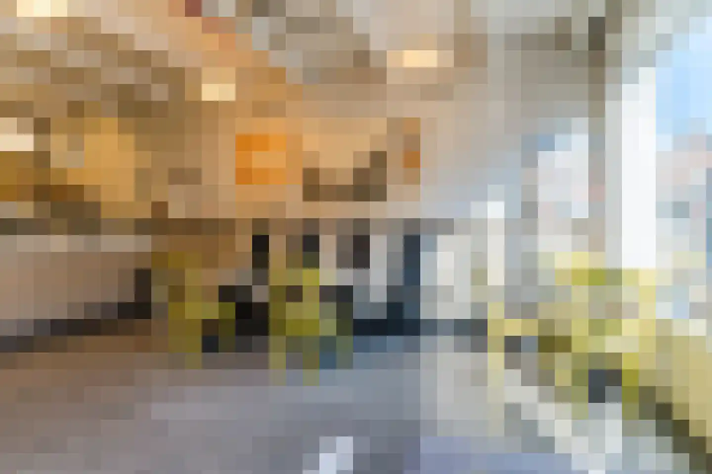 Waterstraat 15 a Zaltbommel thumbnail 44