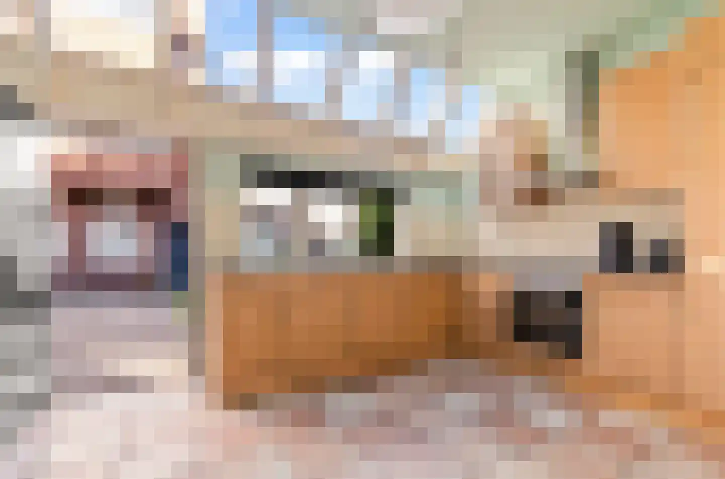 Waterstraat 15 Utrecht thumbnail 11