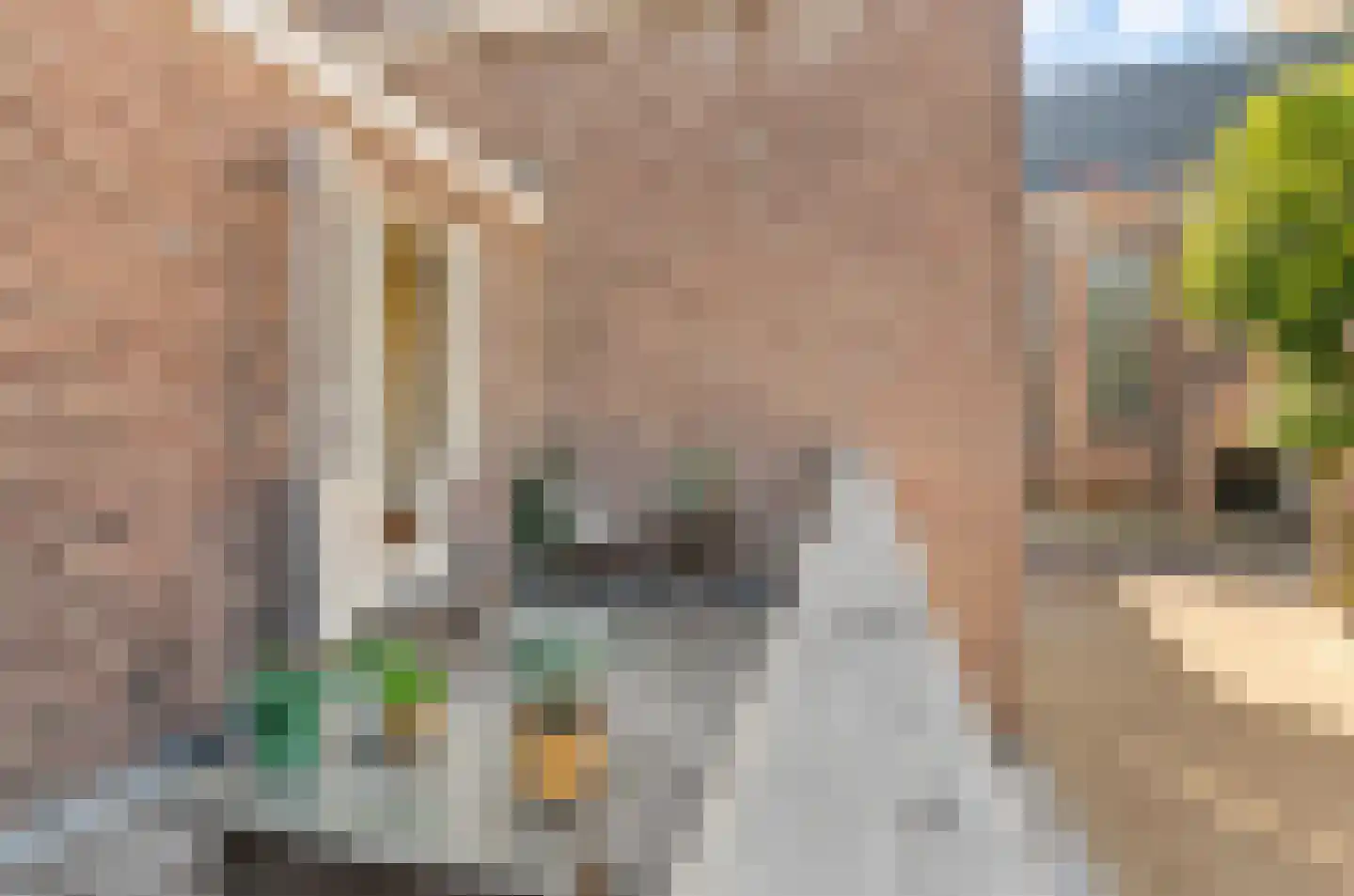 Waterstraat 15 Utrecht thumbnail 13