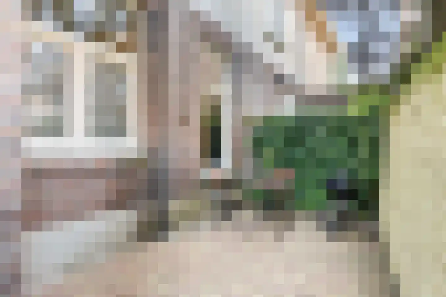 Waterstraat 155 Nijmegen thumbnail 20