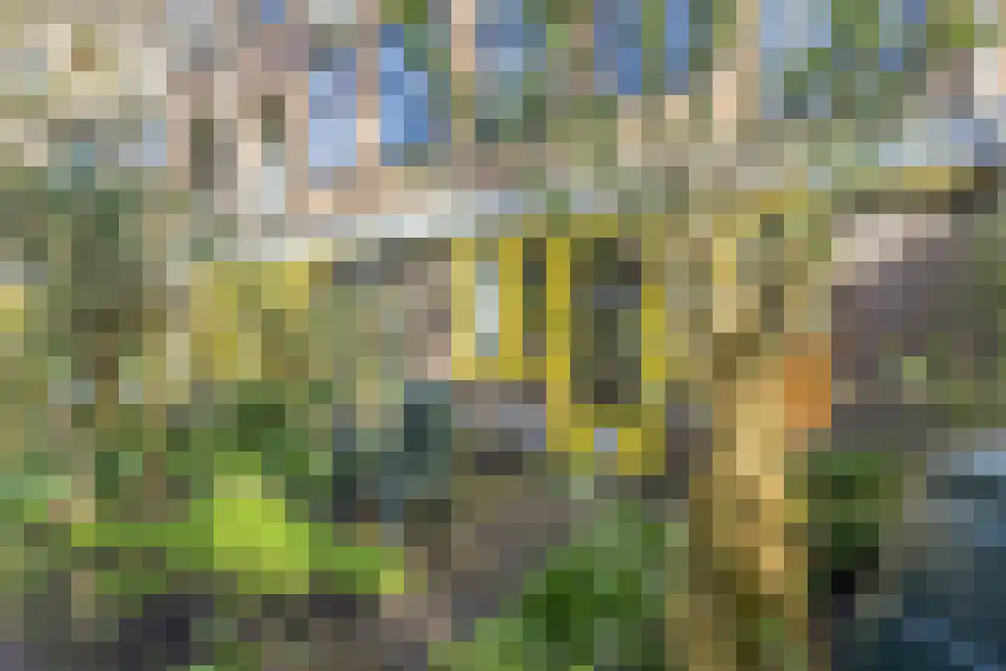 Waterstraat 16 Zwolle thumbnail 16