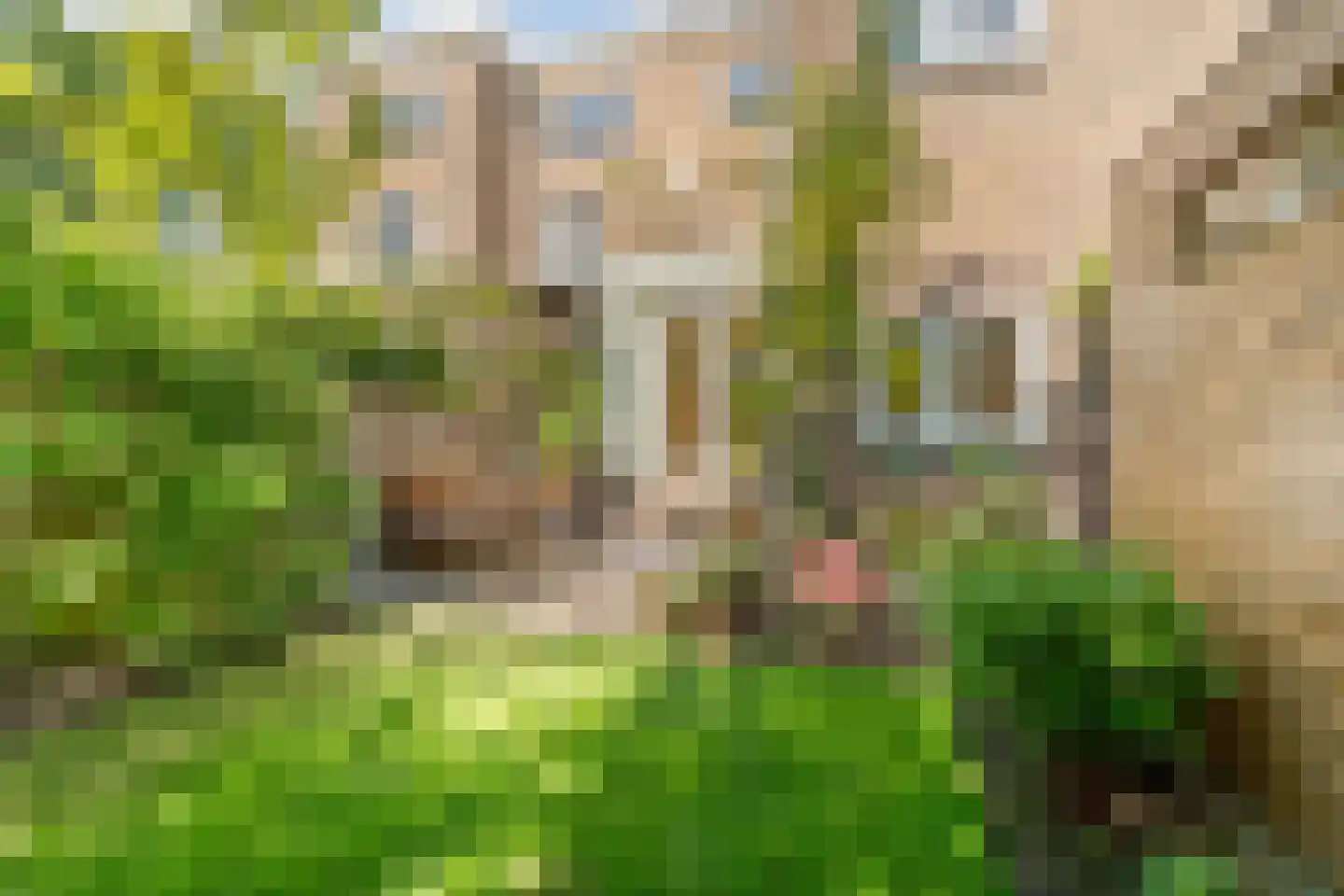 Waterstraat 162 Nijmegen thumbnail 41