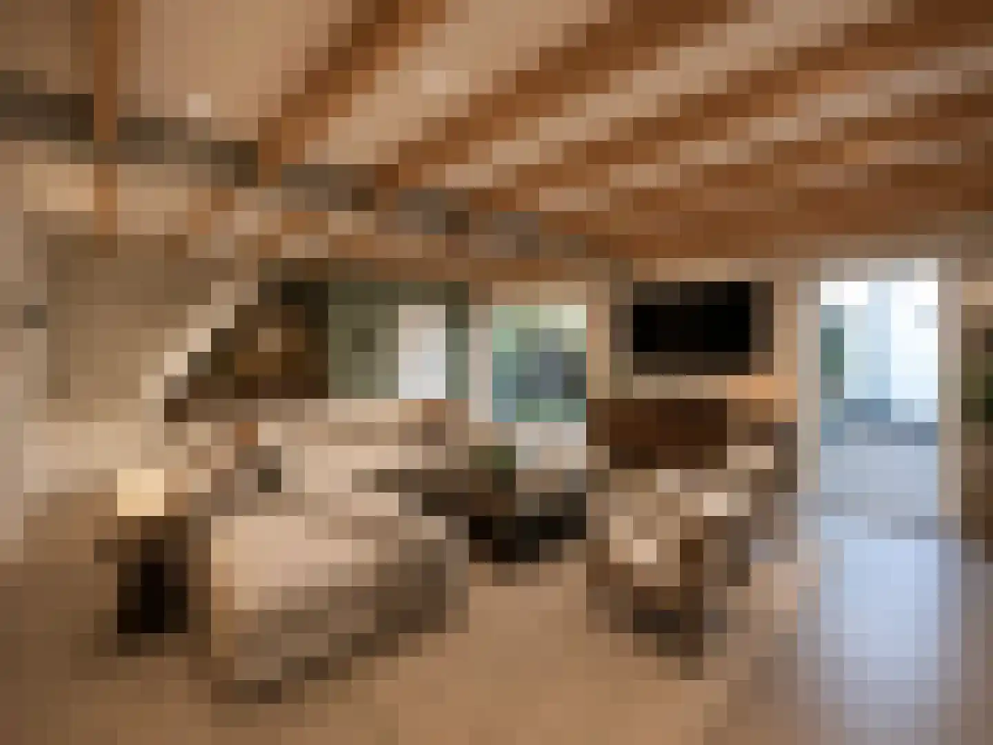 Waterstraat 17 Lienden thumbnail 38