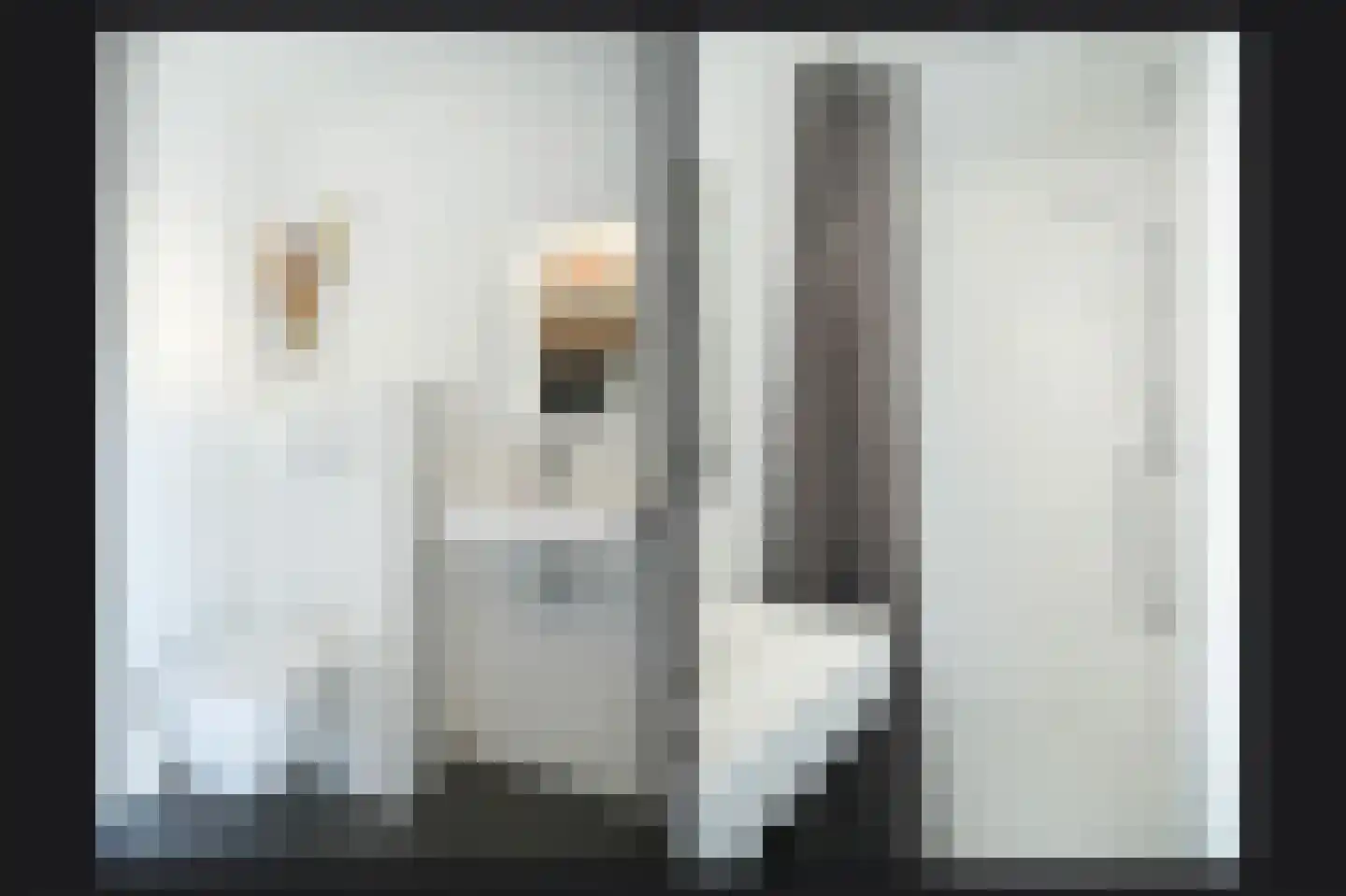 Waterstraat 17 Lienden thumbnail 42