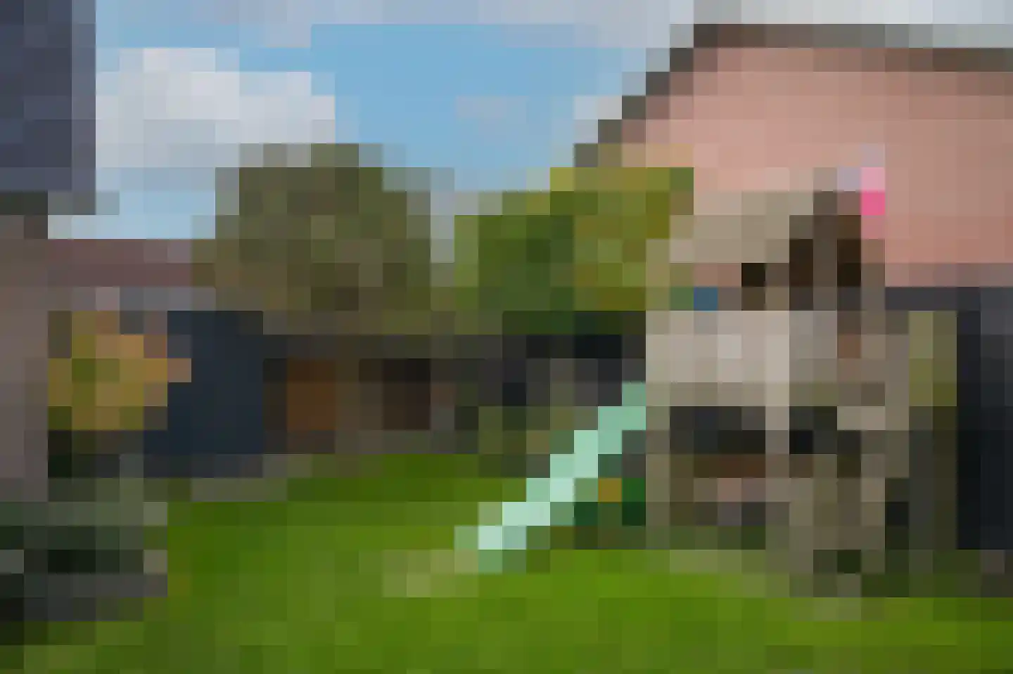 Waterstraat 17 Lienden thumbnail 45