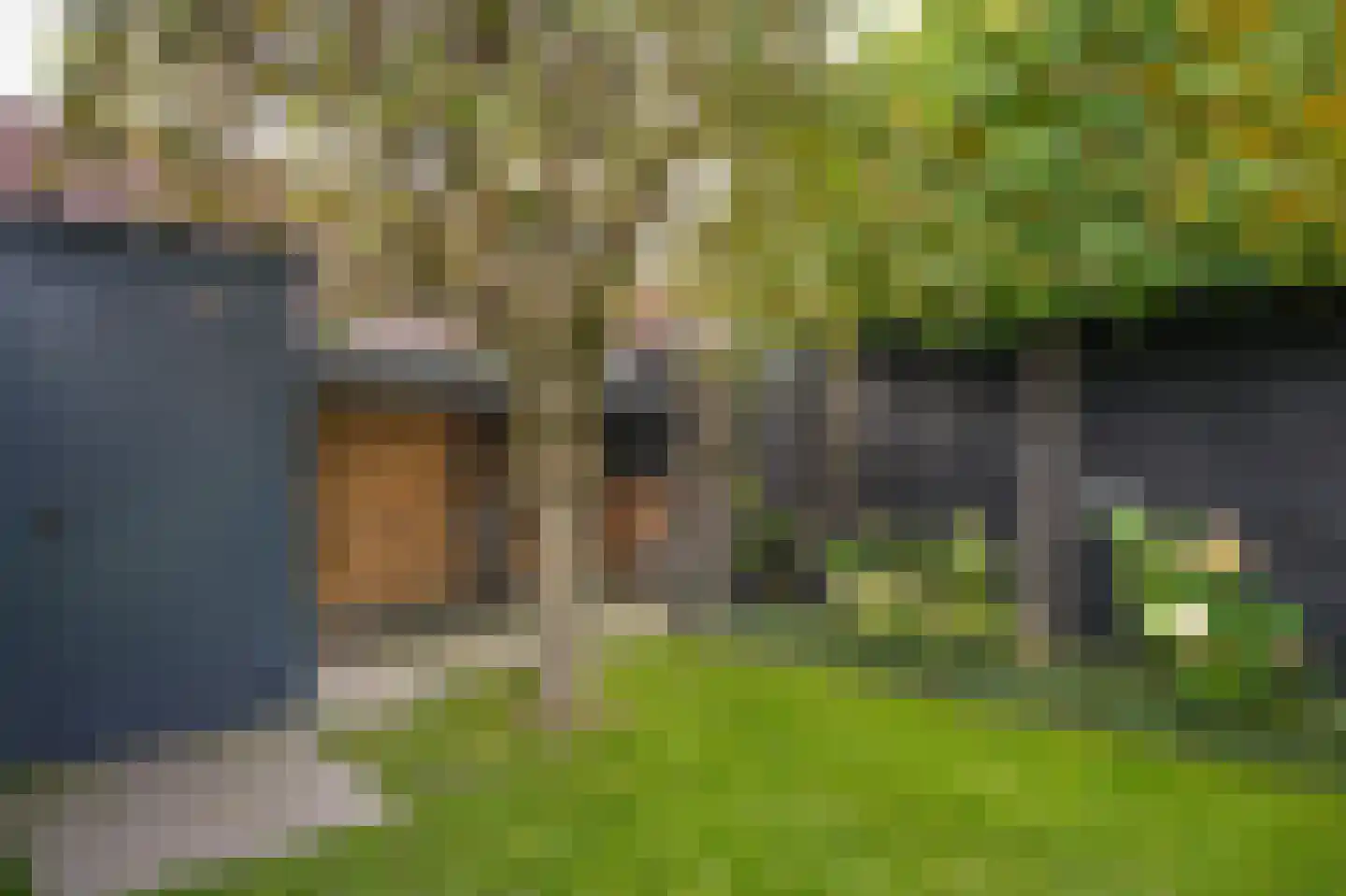 Waterstraat 17 Lienden thumbnail 46