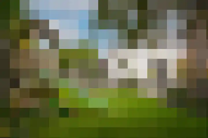 Waterstraat 17 Lienden thumbnail 47