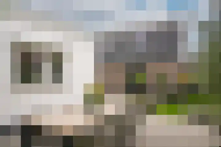 Waterstraat 17 Lienden thumbnail 6