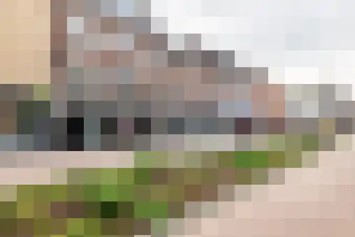 Waterstraat 17 Tiel thumbnail 4