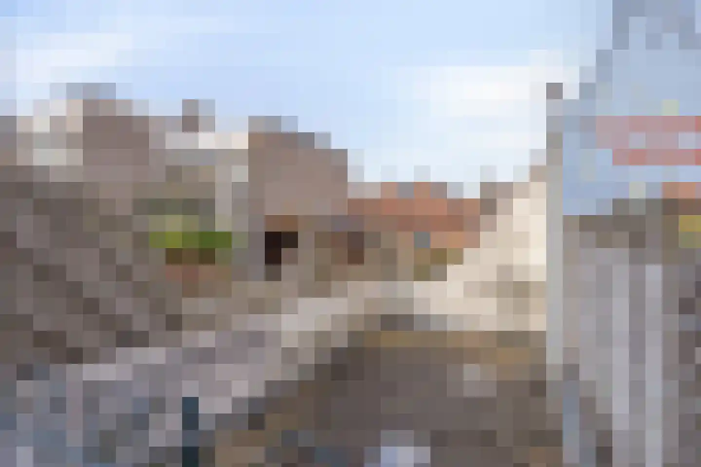 Waterstraat 19 Zaltbommel thumbnail 33
