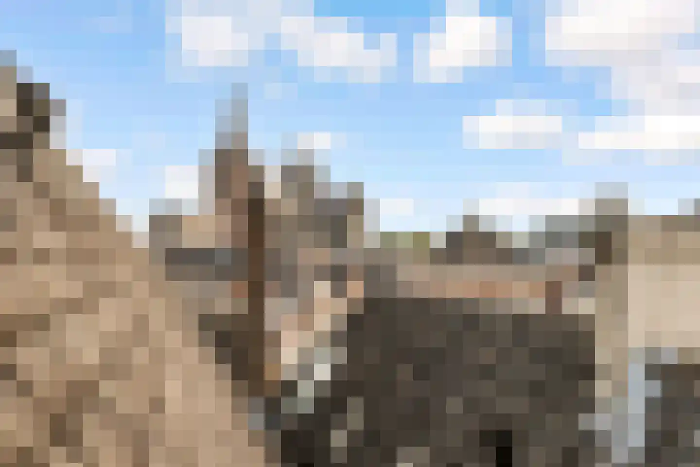 Waterstraat 2 A 's-Hertogenbosch thumbnail 27