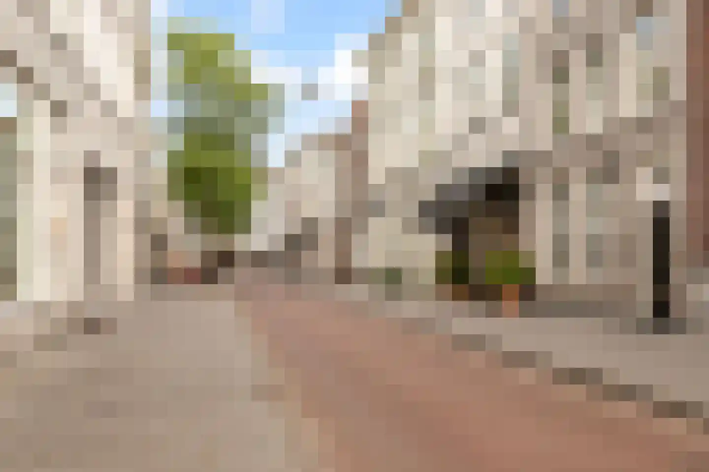 Waterstraat 2 A 's-Hertogenbosch thumbnail 29