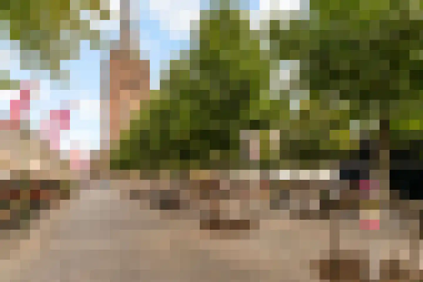 Waterstraat 2 A 's-Hertogenbosch thumbnail 32