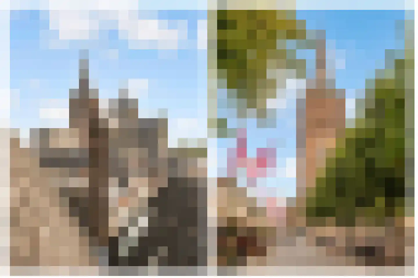Waterstraat 2 A 's-Hertogenbosch thumbnail 33