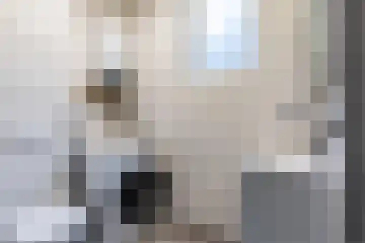 Waterstraat 2 Zwolle thumbnail 15