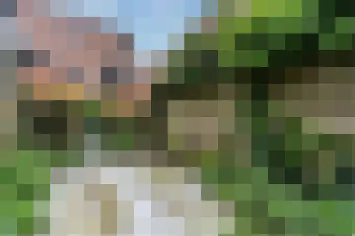 Waterstraat 2 Zwolle thumbnail 25