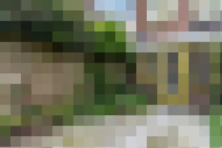 Waterstraat 2 Zwolle thumbnail 26