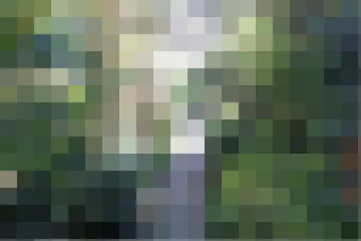 Waterstraat 2 Zwolle thumbnail 36