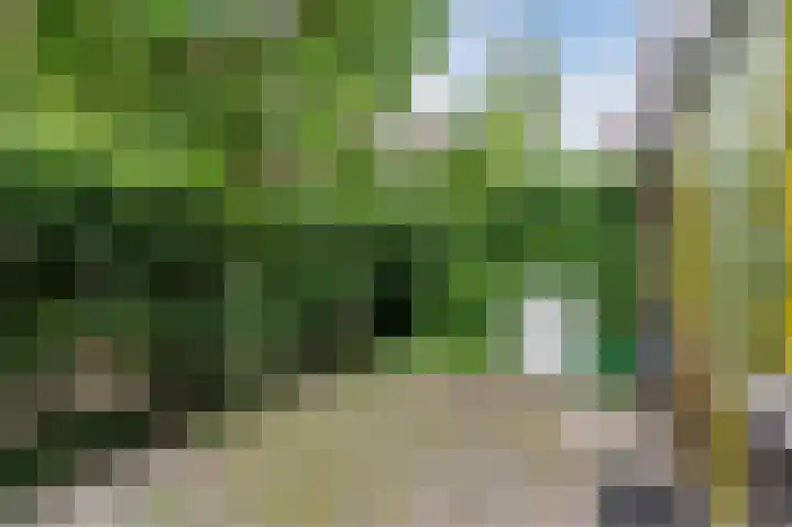 Waterstraat 20 Zwolle thumbnail 22