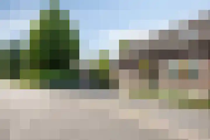 Waterstraat 24 Horst thumbnail 8