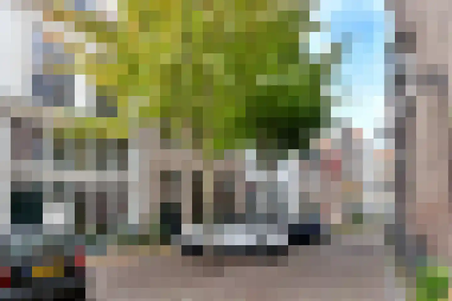 Waterstraat 26 A Deventer thumbnail 21