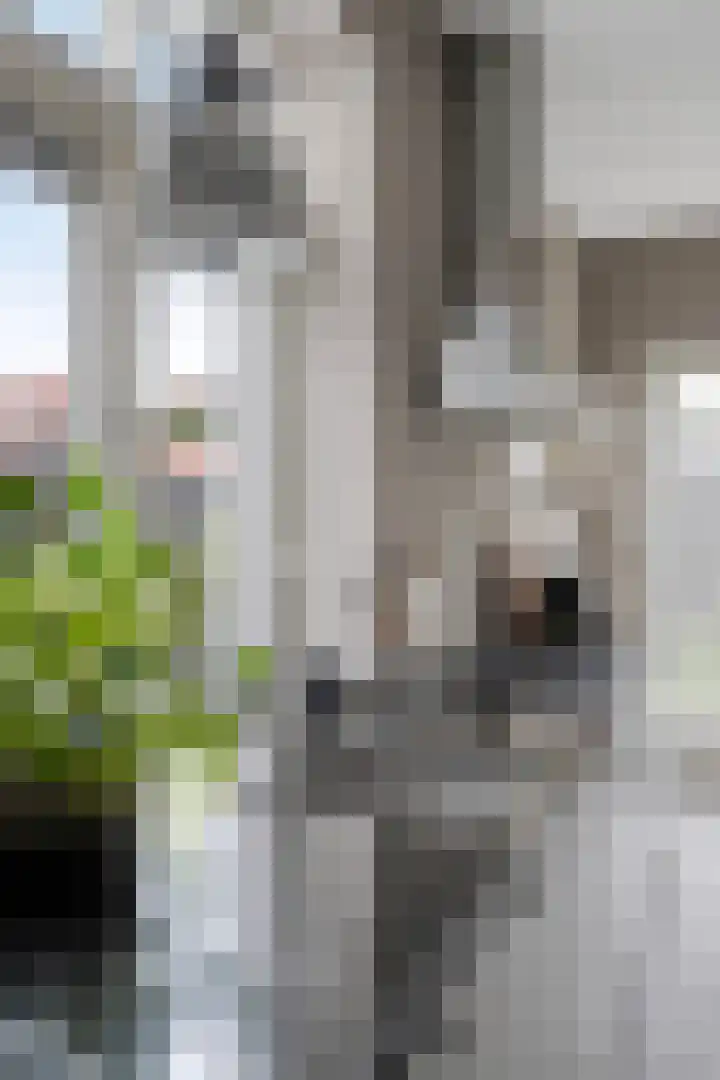 Waterstraat 26 Roosendaal thumbnail 12