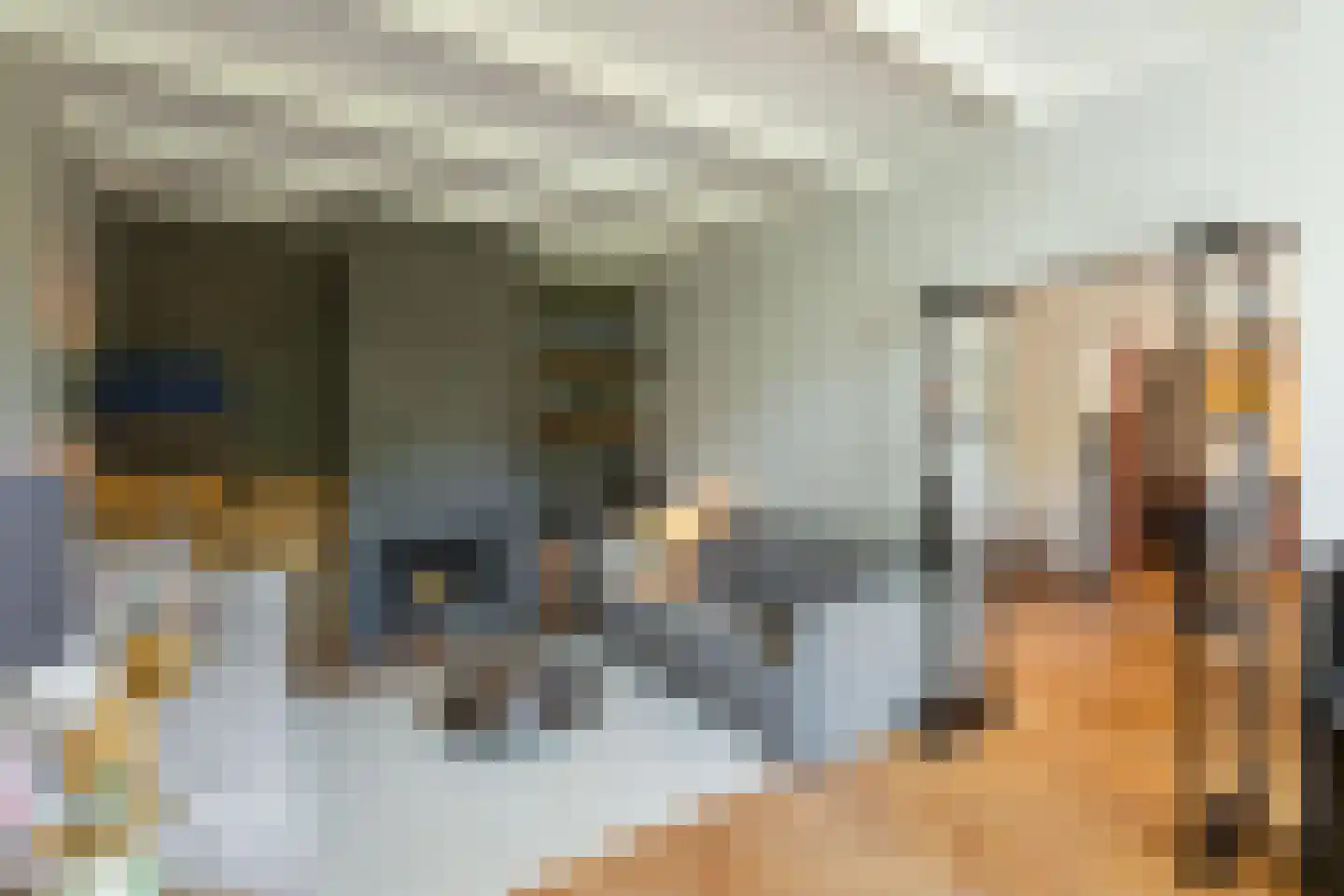 Waterstraat 3 Huizen thumbnail 10