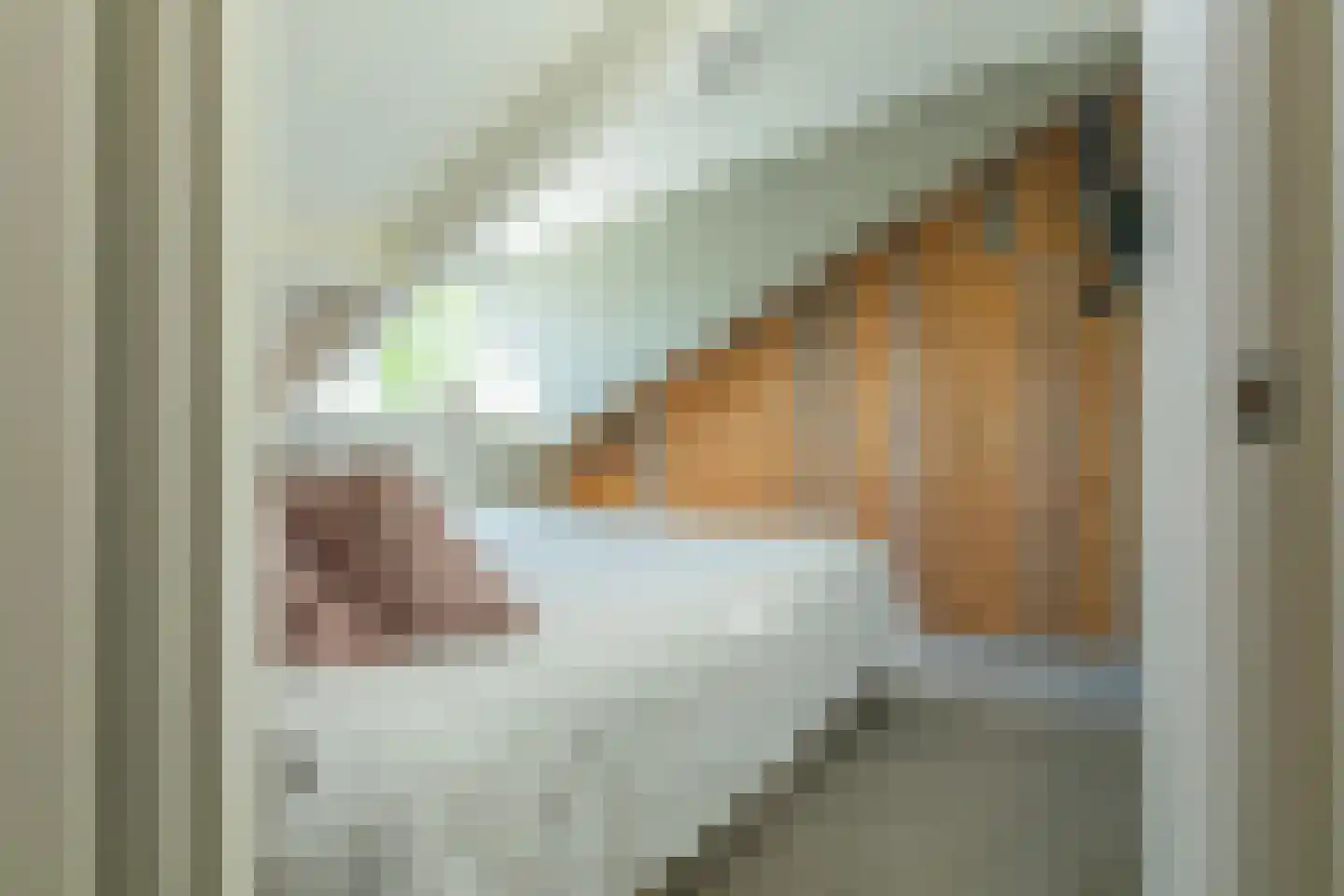 Waterstraat 3 Huizen thumbnail 16