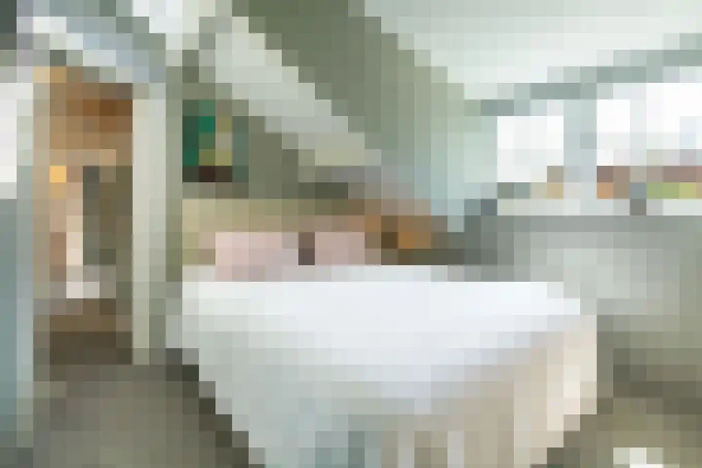Waterstraat 3 Huizen thumbnail 17