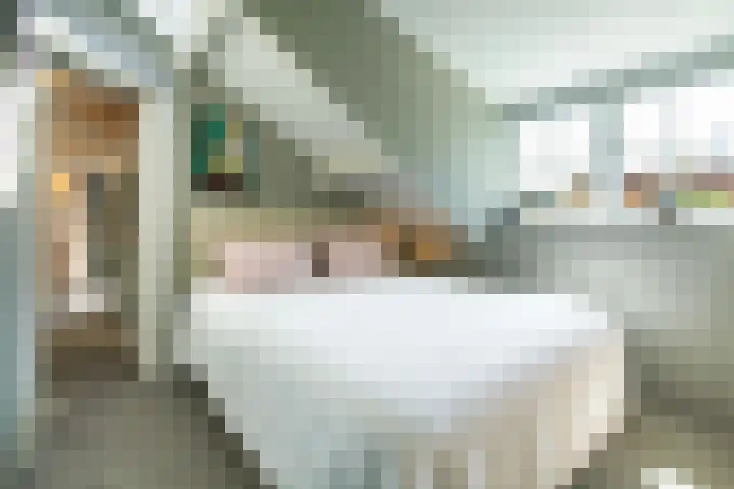 Waterstraat 3 Huizen thumbnail 17