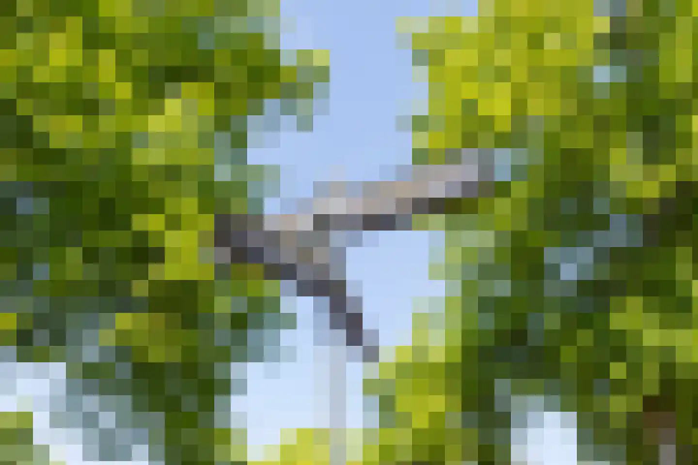 Waterstraat 3 Huizen thumbnail 31