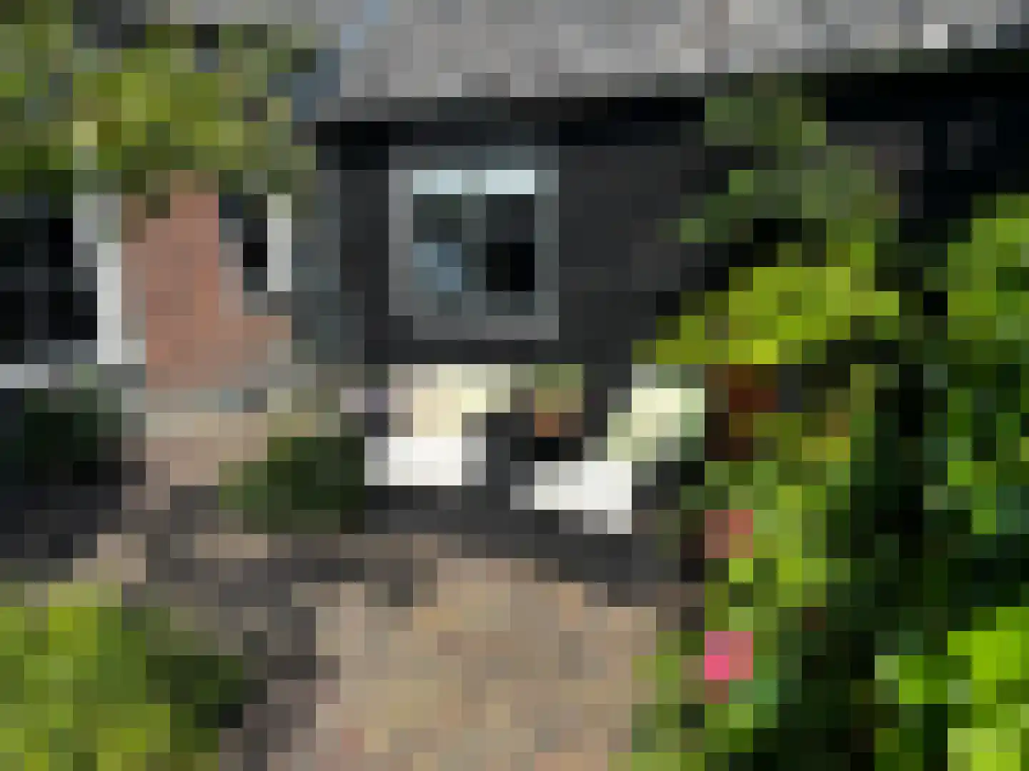Waterstraat 3 Huizen thumbnail 35