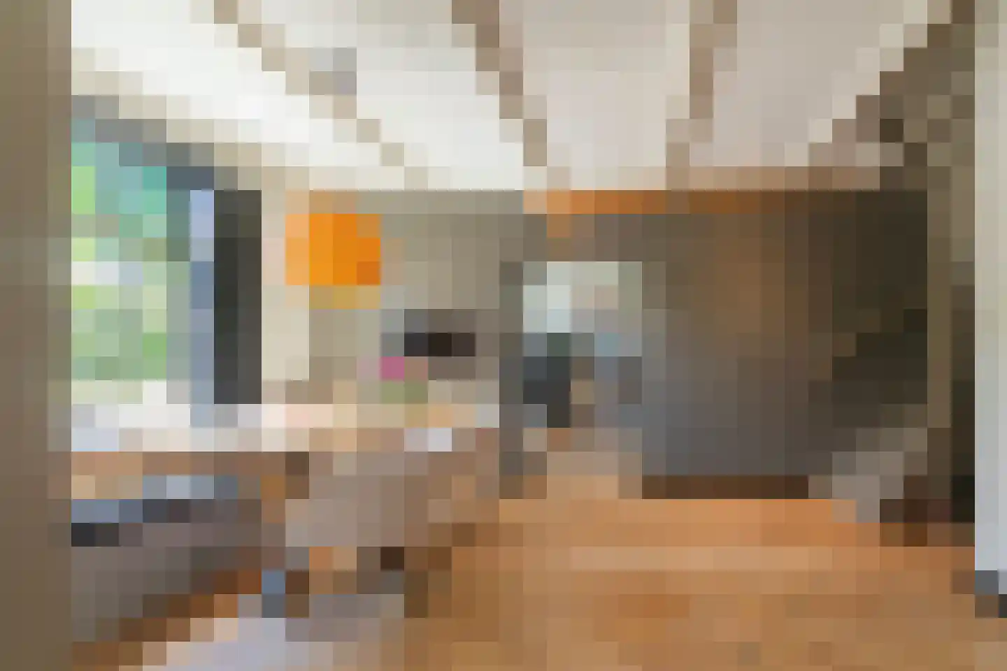 Waterstraat 3 Huizen thumbnail 5