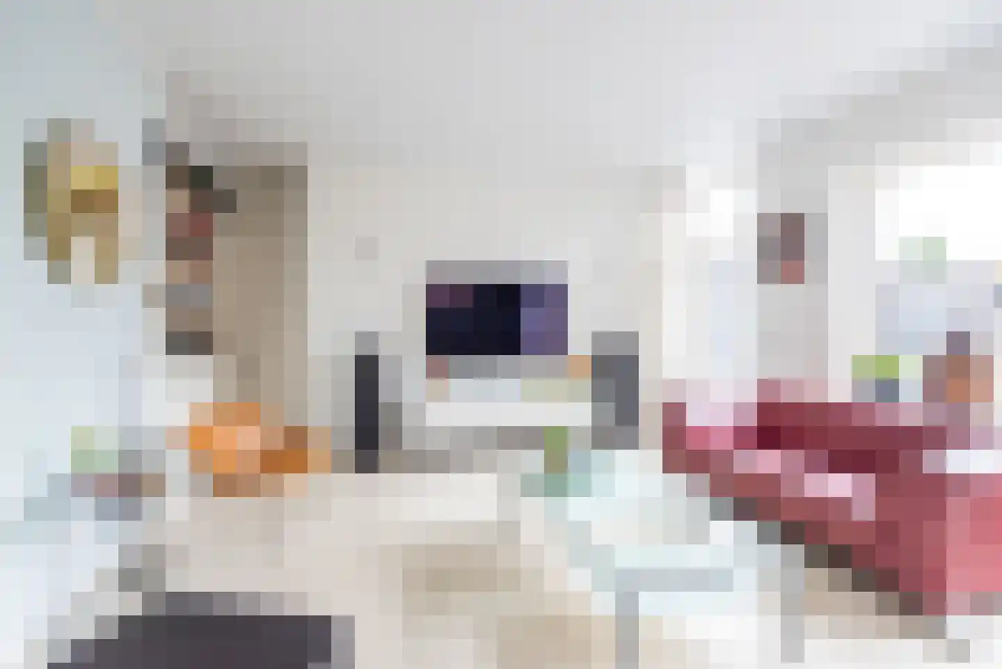 Waterstraat 3 Ulft thumbnail 15
